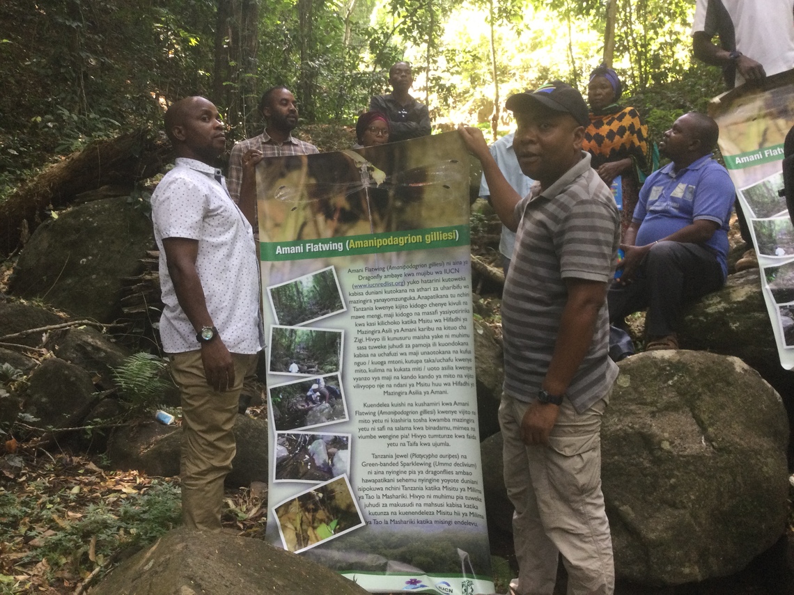 Awareness raising workshop on the Amani Flatwing damselfly