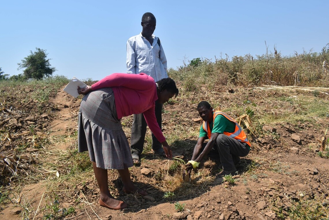 Monitoring activities at the Lower Bua River